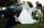 wedding_photos_forncett_st_mary_norwich015.jpg