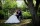 wedding_photos_forncett_st_mary_norwich047.jpg